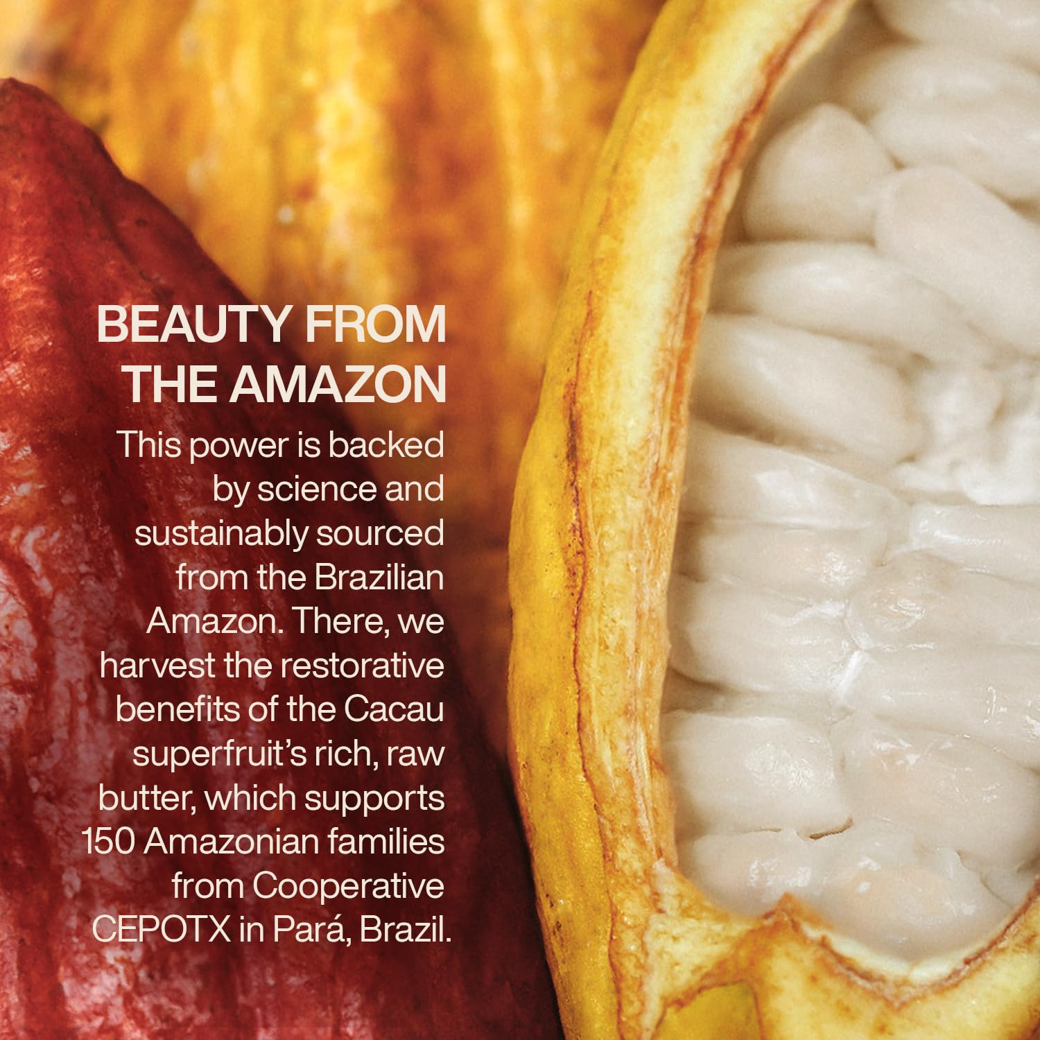 Natura - Cacau Bar Soap Set - Moisturizing Cocoa Butter Soap for Dry Skin – Rich Creamy Lather, Nourishing & Vegan Body Cleanser – Brazilian Natural Bath Soap, 4 Pack - 3.5 oz Each (100g) - Image 7