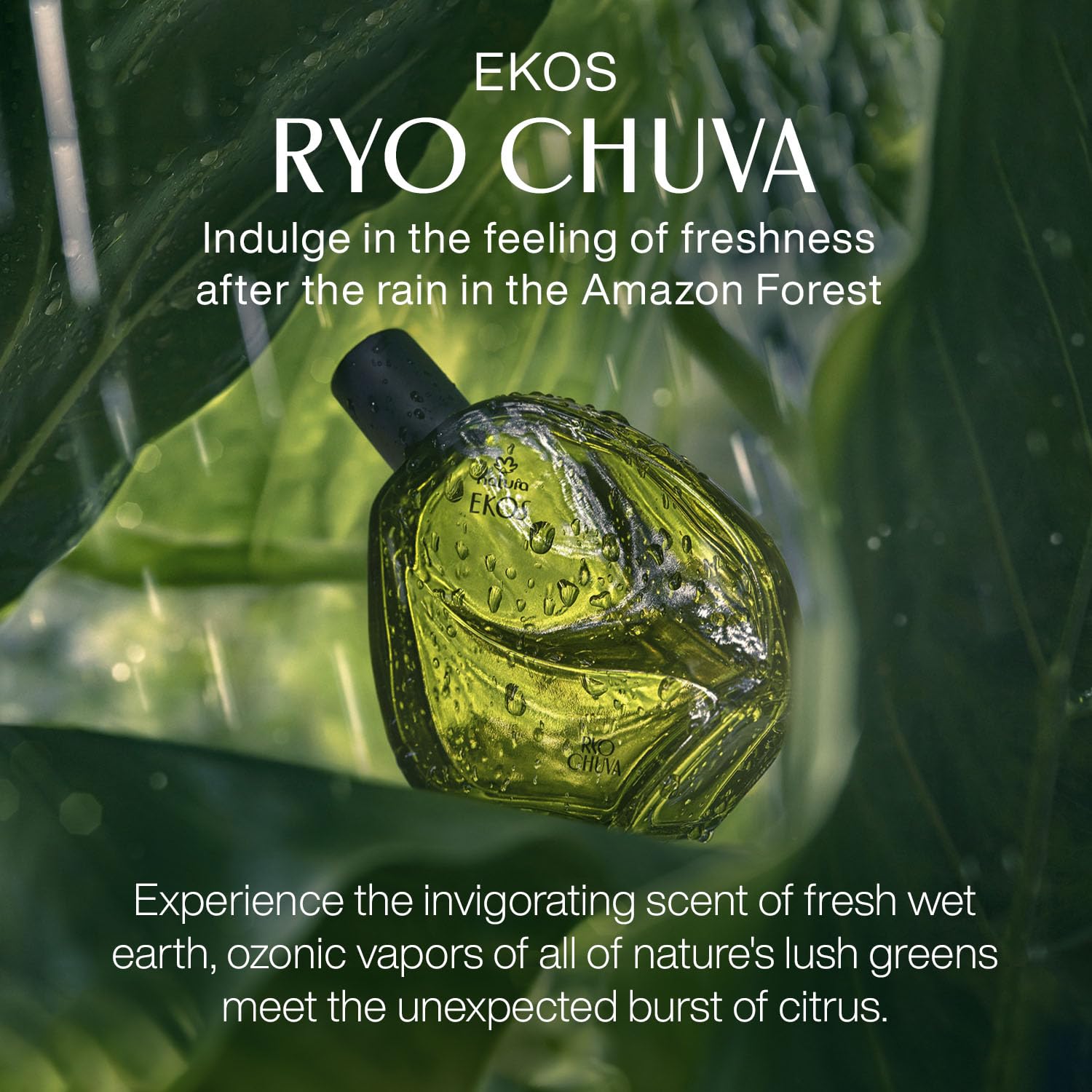 Natura - Ekos Ryo Chuva Eau de Toilette Aquatic Citrus Unisex Fragrance 75ml - Inspired by The Amazonian Rivers - Notes of Mandarin, River & Rain, Jasmine Sambac, Rose, Vetiver & Musk - Image 4
